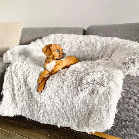 Light gray portable dog bed with raised soft sides.