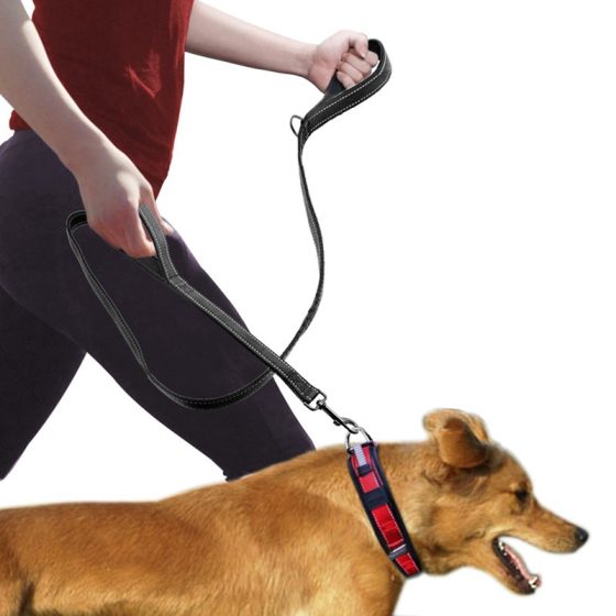 Black double-handle reflective dog leash on a clean background.
