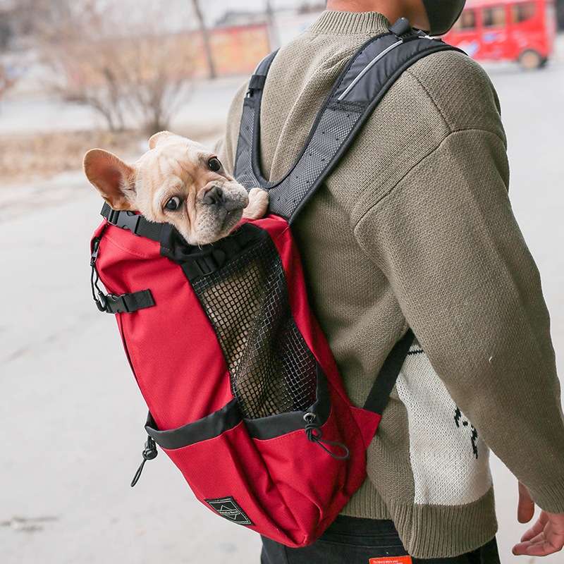 Small dog carried in the eligible red pet carrier backpack.