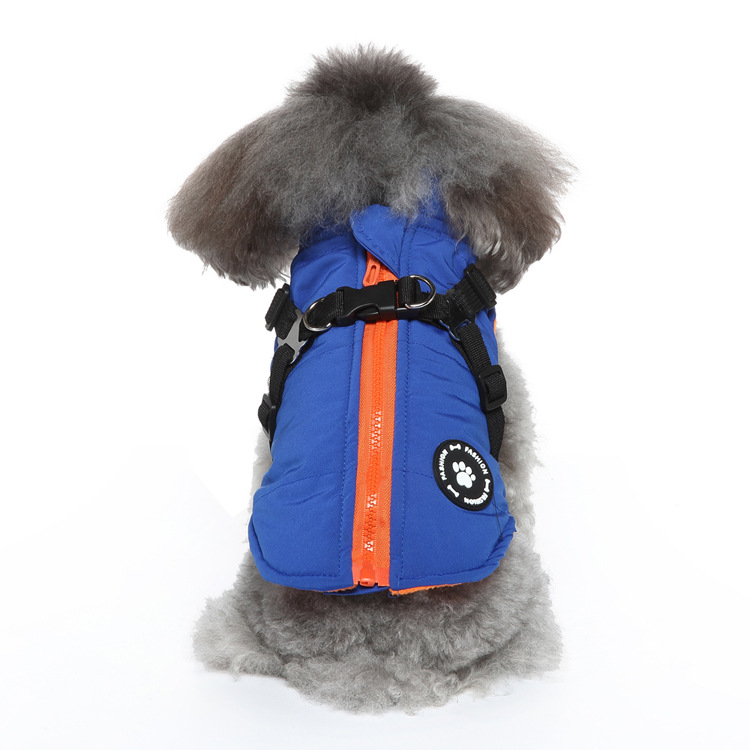Dog wearing the eligible blue padded travel vest.