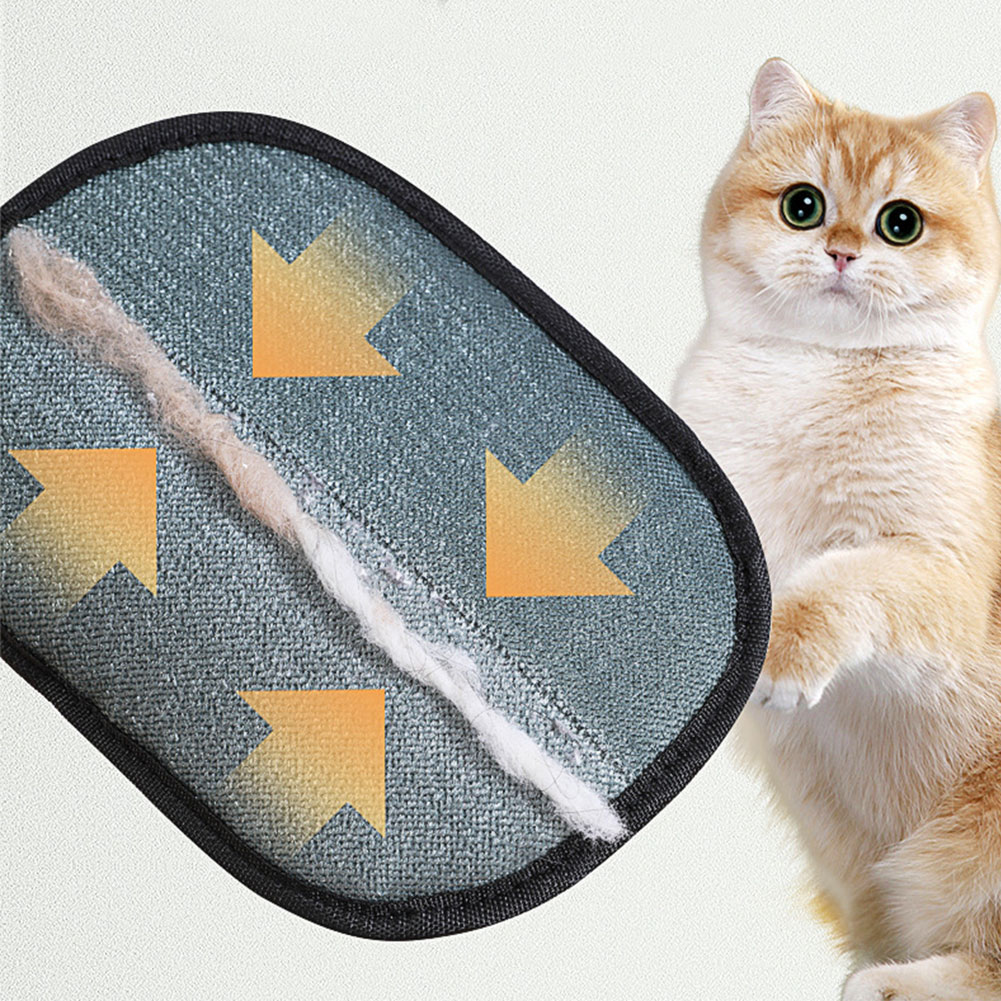 Textured grooming surface lifting loose pet hair.