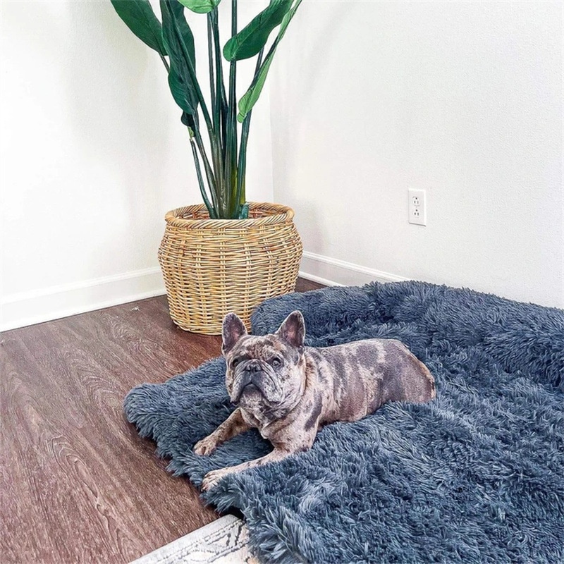 Travel dog bed showing the padded base and raised edge.