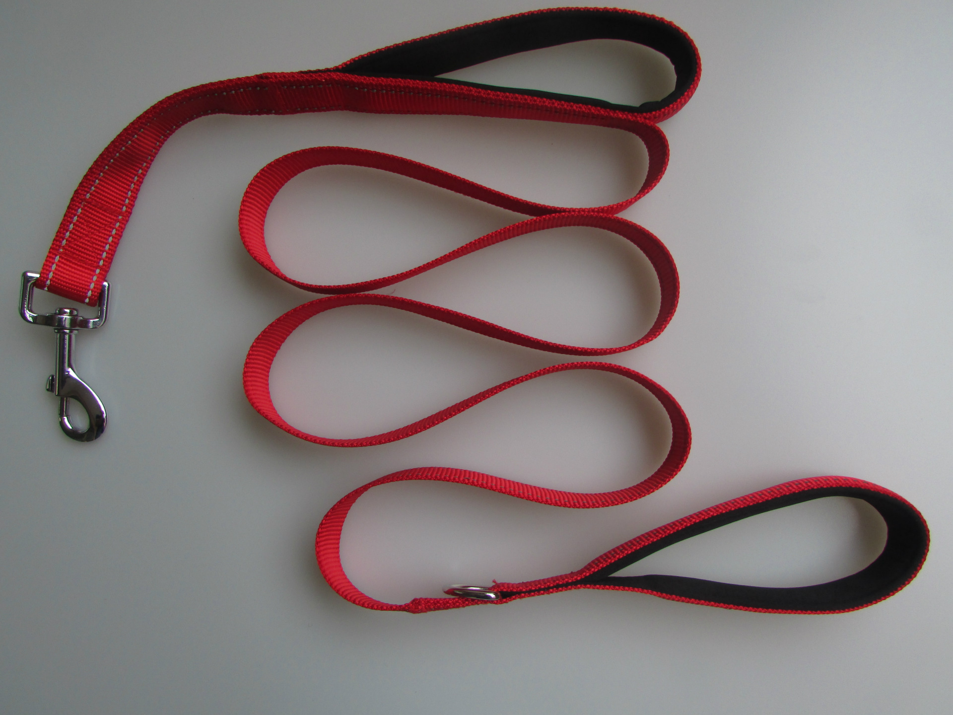 Reflective leash detail shown in low light.