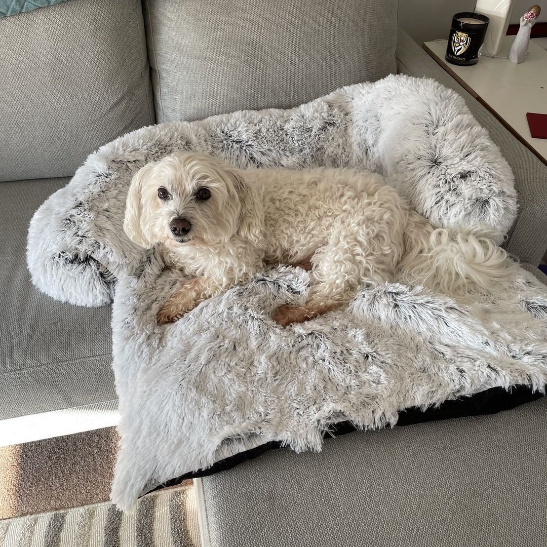 Portable dog bed shown on a clean indoor floor.