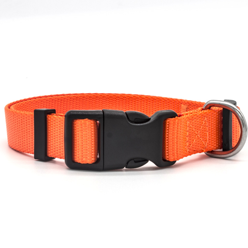 Eligible orange soft travel collar in S.