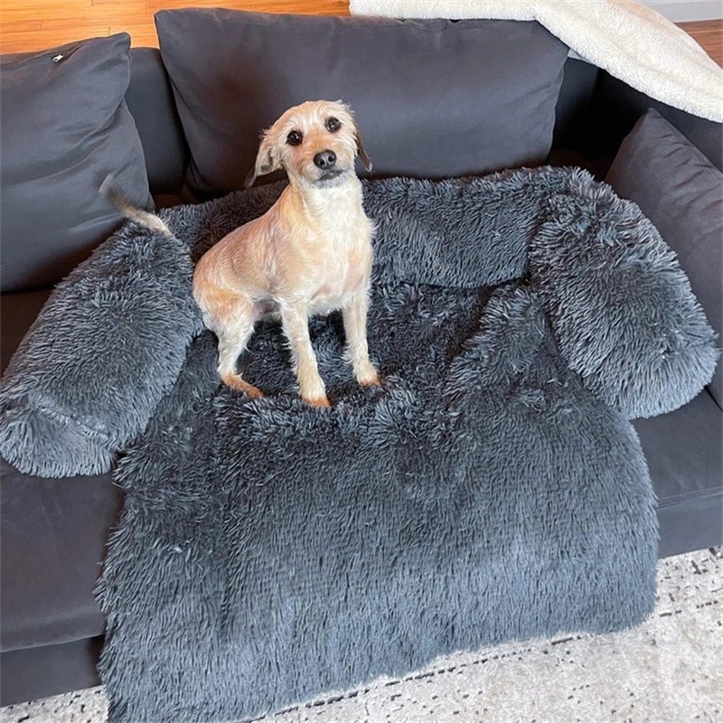 Portable dog bed shown with a resting dog for scale.